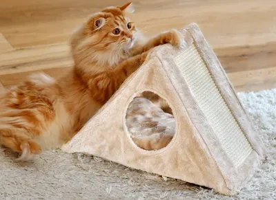 Produktbild von Rohrschneider, KATZE, Katzenpyramide Isa, L/B/H:48x25x34, 22136.100