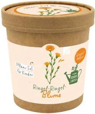 Image de Fleur à rayures