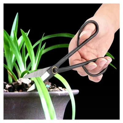 Produktbild von Bonsaischere aus Edelstahl, 190 mm, für Knospen und Blätter, Gartenwerkzeug