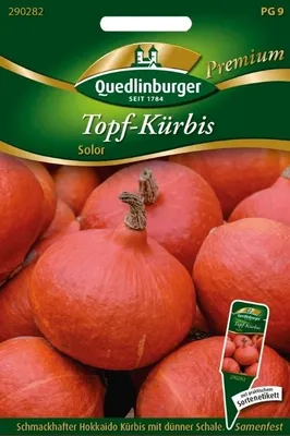 Produktbild von Kürbis- Hokkaido- Amoro Gemüsesamen