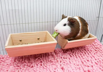 Produktbild von 2 Stück Holz-Futterspender für kleine Tiere, hängender Futterspender für Kaninchen, Chinchillas, Meerschweinchen, Hamster