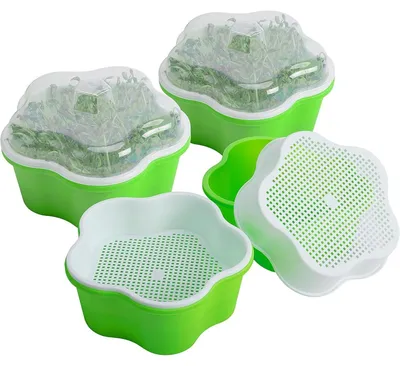 Zdjęcie produktu dla Zestaw 4 pojemników na sadzonki z pokrywkami, przeznaczonych do uprawy warzyw i ziół