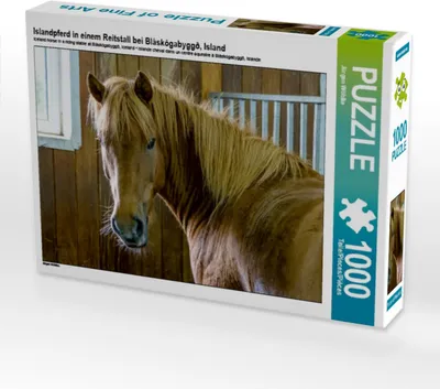 Produktbild von Calvendo Islandpferd in einem Reitstall bei Bláskógabyggð, Island 1000 Teile Puzzle quer 640x480mm, Wöhlke Jürgen; 7443042