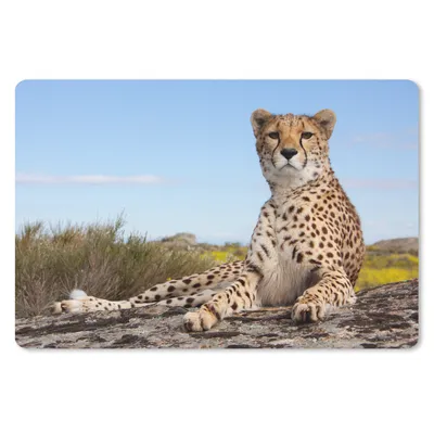 Produktbild von MuchoWow® Schreibtischunterlage Leopard - Tiere - Natur 60x40 cm - XXL Mauspad - Großes Mauspad