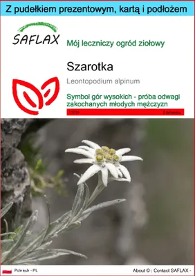 Zdjęcie produktu dla SAFLAX - Zestaw prezentowy - Szarotka - 500 Nasiona - Z pudełkiem upominkowym, etykietą wysyłkową, kartą podarunkową i podłożem uprawowym - Leontopodium alpinum