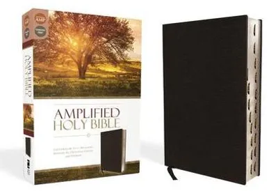 Image de Amplified Holy Bible, Tissu en fibres de cuir, Black, Thumb Indexed