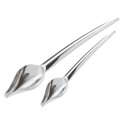 Immagine prodotto di Sambonet, set di 2 cucchiaini decorativi, acciaio inossidabile 18/10, modello 47831-02
