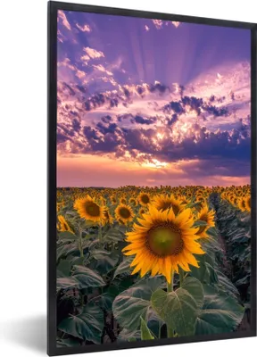 Produktbild von MuchoWow® Gerahmtes Poster Blumen - Himmel - Lila - Sonnenuntergang 60x90 cm - Poster mit Schwarzem Bilderrahmen Wandposter Rahmen Foto Bilder - Kunst