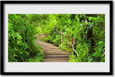 Produktbild von Bild 60x40 MDF-Rahmen Wandkunst Treppen Natur