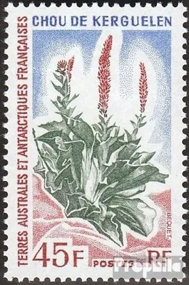 Produktbild von Briefmarken Französ. Gebiete Antarktis 1972 Mi 81 (kompl.Ausg.) postfrisch Antarktische Pflanzen