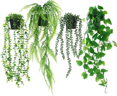 Image de Plante artificielle suspendue - Lot de 4 - Plastique