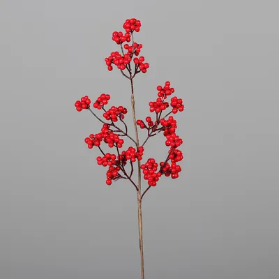 Produktbild von Beeren Zweig "Beryll", L 54 cm