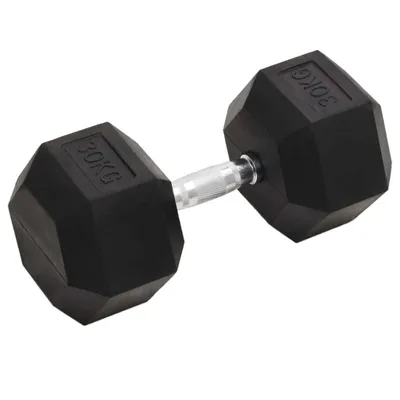 Zdjęcie produktu dla Hantel, 30 kg, żeliwo