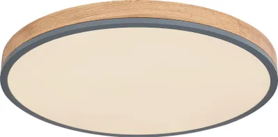 A modern ceiling light with a wood-effect rim and a gray accent.