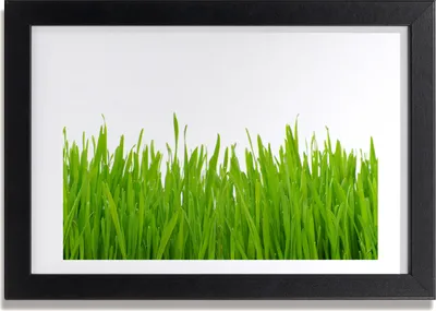 Produktbild von Bild 30x20 MDF-Rahmen, Wandkunst Gras