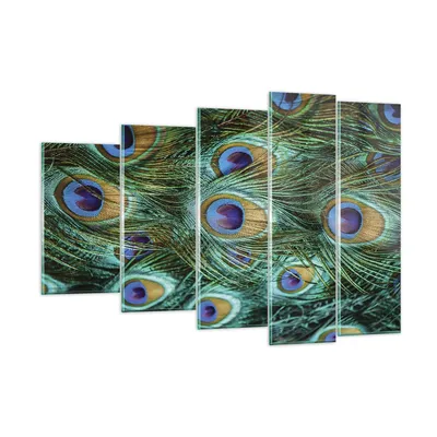Produktbild von Bilder auf glas - 5 Teile - Pfauen Feder Makro - 150x100cm - Glasbilder - Wandbilder - Bilder - zum Aufhängen bereit - Wanddekoration aus Glas - Glas Bilder - Wandbild auf Glas - GEG150x100-4159
