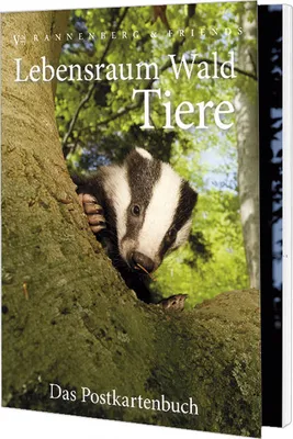 Produktbild von Postkartenbuch Lebensraum Wald - Tiere, Postkartenbücher Ansichtskarte Postkarte