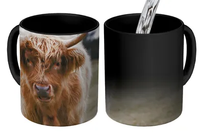 Obrázek produktu pro MuchoWow® Kouzelný pohár Skotský horal - Hospodářská zvířata - Tráva 350 ml Barva měnící se pohár Dárkový nápad - foto hrnek