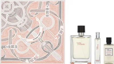Produktbild von Hermès Terre D'Hermès EDT 100 ml + EDT 15 ml + SG für Haut und Haar 40 ml (man)