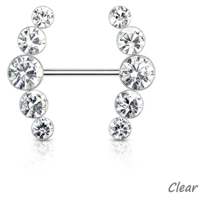 Produktbild von Brustwarzenpiercing Schild mit Kristallen Clear