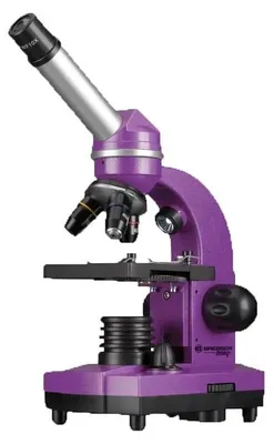 A purple Bresser junior Mikroskop Biolux SEL microscope is shown against a white background.