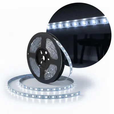 Produktbild von MasterLED LED Streifen 5 m, 12V DC, SMD 2835, 120 LEDs m, 9,6 W m, 6500K Kaltweiß, IP20