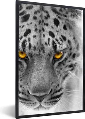 Produktbild von MuchoWow® Gerahmtes Poster Leopard - Schwarz - Weiß - Gelb 60x90 cm - Poster mit Schwarzem Bilderrahmen Wandposter Rahmen Foto Bilder - Kunst