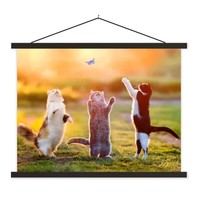 Produktbild von MuchoWow® Textilposter Katzen - Schmetterling - Sonnenuntergang - Gras - Natur 150x113 cm mit schwarzem Rahmen - Wohnzimmer