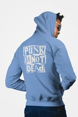 Produktbild von D&B Uni Hoodie ZIPZN00004 Punk Hellblau-Größe XL