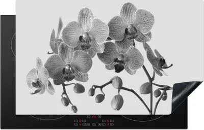 Produktbild von KitchenYeah© Herdabdeckplatte Orchideen auf grauem Hintergrund - schwarz und weiß , 85x52cm, Küche Deko, Glaskeramikkochfeld Herdabdeckung, Abdeckplatte fùr Kochfeld