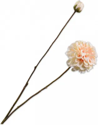 Produktbild von Silk-ka Künstliche Blumen – Seidenblumen-Dahlienzweig cremefarben 86 cm pro 2 Stück
