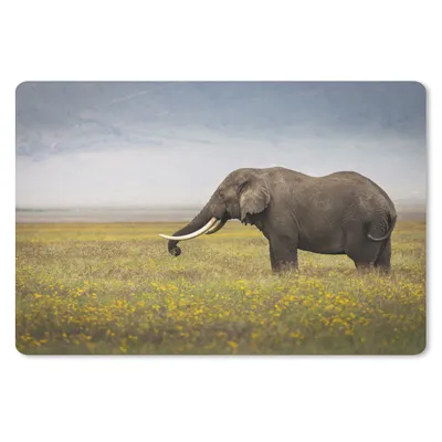 Produktbild von MuchoWow® Mauspad Mousepad Elefant - Tiere - Blumen - Gras - Natur 27x18 cm - Mousepads - Maus Mat - Pad - Mausunterlage - Büroartikel - Desk Matten