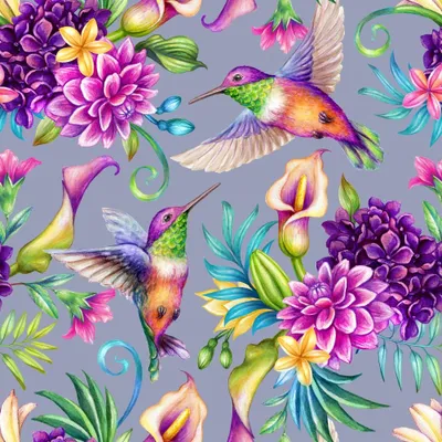 Produktbild von OUTDOOR DEKOSTOFFE OXFORD - Motiv bunter Kolibri I DR134