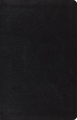 Produktbild von Large Print Thinline Reference Bible-ESV