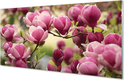 Produktbild von Glasbilder 120x60 Wandkunst Baum Blumen