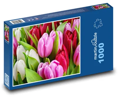 Obrázek produktu pro Puzzle 1000 Tulipány - jarní květiny - martinpuzzle