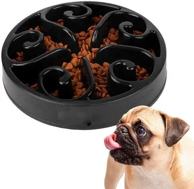 Immagine prodotto di Distributore automatico di cibo per cani nero,