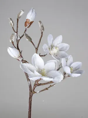 Produktbild von Magnolienzweig naturgetreu mit 5 Blüten weiß mit Schnee, künstlich ca. 90 cm