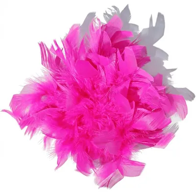 Produktbild von Baesics Federbrosche Damen Neonpink - Feder Brosche zum Anstecken Puschel