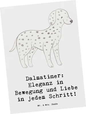 Produktbild von Mr. & Mrs. Panda Ansichtskarte Dalmatiner Charme - Weiß - Geschenk, Grußkarte, Fotokarte, Hund, Herzenseroberer, Hunderassen, Postkarten, Postkarte, liebevolles Wesen