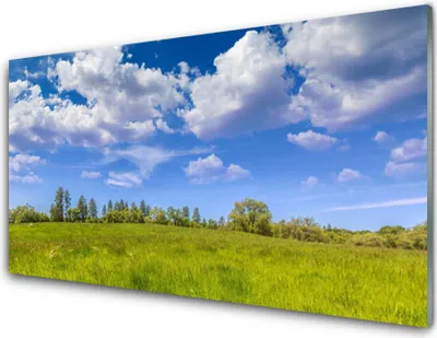 Produktbild von Acrylglasbilder 100x50 Wandbild Druck Wiese Gras Landschaft