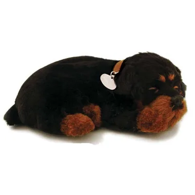 Produktbild von Perfect Petzzz 96163 Rottweiler