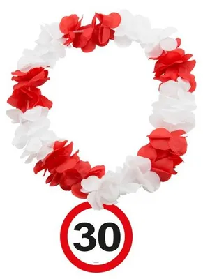 Produktbild von 30. Geburtstag Verkehrsschild Hawaiikette