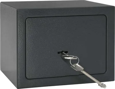 Zdjęcie produktu dla vidaXL Sejf z zamkiem ciemnoszary 23 x 17 x 17 cm stalowy