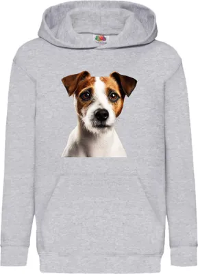 Obrázok produktu pre Detská Mikina S Kapucňou Dogs Breeds Russell Terrier Dog Breed 005, 7-8 Jahr - 128 / Heather šedá
