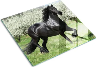 Imagen del producto de Cubierta para placa de cocción – Cubierta para placa de inducción – Placa de vidrio protectora – 60x52 cm – Placas de vidrio protectoras para cocina – Vidrio templado – Flores de equiseto