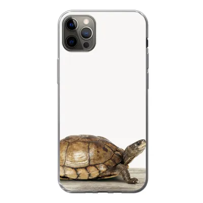 Produktbild von MuchoWow® Handyhülle Schutzhülle Hülle für iPhone 12 Pro Max Schildkröte - Junge - Tiere - Kinder - Mädchen Silikon Softcase Handy Hülle - Hartschale