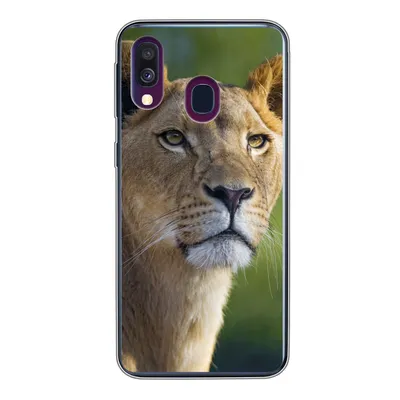 Produktbild von MuchoWow® Handyhülle Schutzhülle Hülle für Samsung Galaxy A40 Porträt - Löwe - Wild Silikon Softcase Handy Hülle - Handy-Tasche