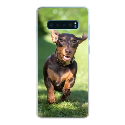 Produktbild von MuchoWow® Handyhülle Schutzhülle Hülle für Samsung Galaxy S10 Plus Ein sprintender Dackel Silikon Softcase Handy Hülle - Schutzhülle