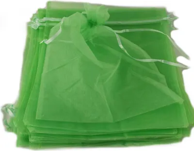 Produktbild von 10 x Organzabeutel 40 x 30 cm mint-grün Organzasäckchen Traubenschutz